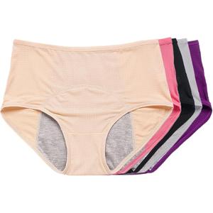 Leakproof Underwear - Leakproof Panties for Women Over 60s With Incontinence (X-Large, Pink, Nude, Black, Gray, Blue)