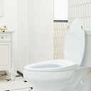 Bidet Toilet Seat Non-Electric, Self-Cleaning Dual Nozzles for Frontal & Rear Wash, Adjustable Water Pressure, Slow-Close Lid, Fits Elongated Toilets Hygienic & Eco-Friendly Upgrade (Contemporary)