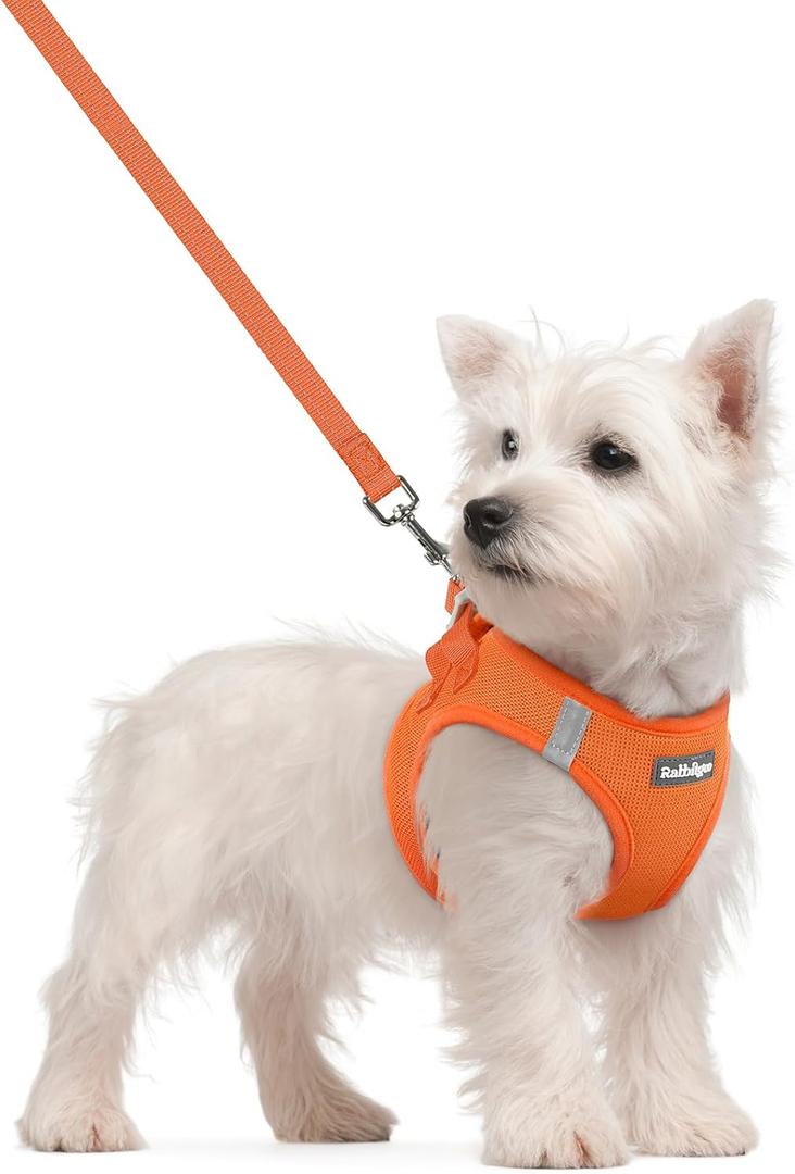 rabbitgoo Dog Harness Small Sized and Leash Set, Step in Soft Light Puppy Vest, Breathable Mesh Pet Harness, Reflective for Safe Easy Walking, Orange S (S (Chest: 15.1 - 16.5"))