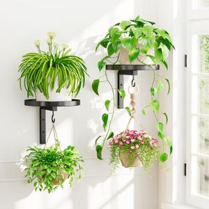 iDavosic.ly Wall Plant Holder Set of 2 for Indoor Outdoor, Metal Hanger with 2 Hooks, Floating Flower Display Stand for Window, Space Saving & Easy to Assemble (Pots/Chains/Plants Not Included), Black