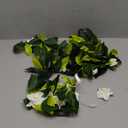 2 Pcs 2025 Hawaiian Graduation Lei 6.56 ft and Flower Headband 2025 Graduation Maile Lei Necklaces Artificial with Green Leaves for Grad Hawaiian Luau Party Wedding Summer Party Supplies