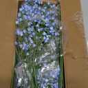 Dolicer 30 Pcs Babys Breath Artificial Flowers, Blue Long Stem Baby Breath Flowers Artificial Bulk, Real Touch Fake Babys Breath Gypsophila for Wedding Bridal Bouquet Party Arrangements Home Decor