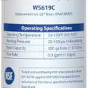 Waterspecialist WS619C Replacement for RPWFE, RPWF (Built-in CHIP) Refrigerator Water Filter, Compatible with GYS22GMNES, GYE22HSKSS, PYE22PELDS, GFE26GMKES, GFE26GGHWW, GFE28GYNFS, PFE28KYNFS