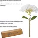 Kimura's Cabin 6pcs White Hydrangea Artificial Flowers Silk Fake Hydrangeas Faux Hydrangea Flowers with Stems for Wedding Bouquets Arrangement Home Table Centerpieces Baby Shower Party Decoration
