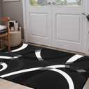 Classical Modern Black and White Stripe Pattern Area Rug for Living Room 2x3 Outdoor Rug Non Slip&Non-Shedding Low Pile Indoor Large Carpets for Bedroom, Dining Room, Home Office, Bathroom