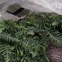 Outdoor Fake Hanging Fern Artificial Hanging Ferns 2 Pack, Large Faux Boston Fern Bushes, UV Resistant Outdoor Hanging Plants for Front Porch, Patio & Indoor Decor