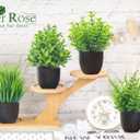 Der Rose Fake Plants 4 Packs Artificial Plants Small Faux Plants Black Bathroom Accessories for Halloween Bathroom Home Kitchen Coffee Table Office Desk Decor Indoor