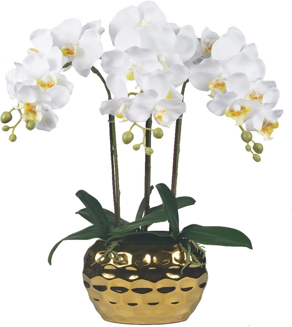 W&W Artificial Orchid Plants & Flowers Arrangement in Ceramic Pot, Fake Faux White Orchid with Gold Vase, Realistic Phalaenopsis Orchids for Home Decor Indoor