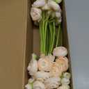 Floroom Ranunculus Artificial Flowers 18 Pcs Champagne Faux Silk Mini Ranunculus Bulk Fake Wedding Filler Flowers for DIY Cream Bouquets, Centerpieces, Bridal Shower Decorations & Arrangements, Cream
