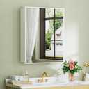 Buruis 24 x 30 Inch Framed Medicine Cabinet Mirror, Recessed/Wall Mounted, 24 x 30 inch Single Door