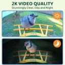 HIXX Smart Bird Feeder with Camera, AI Identify Birds & Auto Capture, 2K HD Live Camera Birdwatching with Color Night Vision for Bird Lovers Gifts (Green)