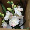 Artificial Orchid Flowers Fake Cymbidium Plant in Pot, 19" Tall Faux Orchids for Home Decor Indoor, Lifelike Silk Flowers for Centerpieces Office Arrangement-White