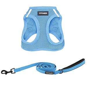 Best Pet Supplies Voyager Step-in Air All Weather Mesh Harness and Reflective Dog 5ft Leash Combo with Neoprene Handle, for Small, Medium and Large Breed Puppies - Baby Blue, X-Small