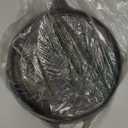 Lodge Cast Iron Buffalo Nickel Skillet, 10.25 Inch