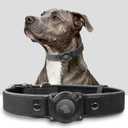 Premium Leather AirTag Dog Collar, 100% Waterproof & Reflective Dog Collar with AirTag Holder  Compatible with Apple Air Tag | Durable, Comfortable Padded GPS Dog CollarsBlack-M (M(12.5"-17.3"))