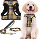 PUPTECK Adjustable Dog Harness Collar and Leash Set Step in No Pull Pet Harness for Small Medium Dogs Puppy and Cats Outdoor Walking Running, Soft Mesh Padded Reflective Vest Harnesses, Yellow, S (S (CHEST 14.5"-16"))