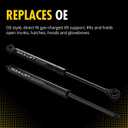 Liftgate Lift Support 300724