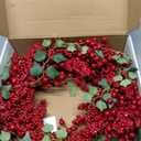 Hometrance Red Berry Christmas Wreaths for Front Door 20 Inches, Xmas Winter Wreath with Snowflakes for Window Outdoor Outside, Artificial Holiday Farmhouse Modern Wreath for Indoor Decor