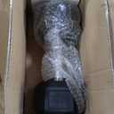 CAP Barbell Coated Hex Dumbbell Weight - Single | 25 lbs