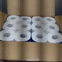 Scott Rapid-Dissolving Toilet Paper, 48 Double Rolls, Septic-Safe, Toilet Paper