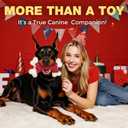 Tough Dog Toys, Toys for Aggressive Chewers Large Breed, Chew Dogs, Bone Toy Nylon Dogs Almost Indestructible (1 Count, Red)