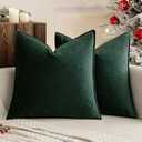 MIULEE Pack of 2 Christmas Decorative Velvet Throw Pillow Cover Soft Pillowcase Solid Square Eruo Sham Cushion Case for Winter Sofa Bedroom Car 24x24 Inch 60x60 Cm Army Green