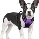 rabbitgoo Dog Harness No Pull with 2 Leash Clips, Adjustable Soft Padded, Reflective Oxford No Choke Pet Vest with Easy Control Handle for Small Dogs, Purple, S