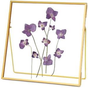 REDHUGO Double Glass Frame for Pressed Flowers Handmade, Tabletop Photo Frame for Floating Picture and Flower Press, Simple, Metal Geometric, Square, Gold, 8x8 Inches
