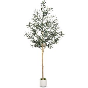 6FT Olive Tree Artificial Indoor with Natural Wood Trunk
Faux Olive Tree with Realistic Leaves , Lifelike Olives and Sturdy Base，Fake Olive Tree for Home Decor Office Living Room