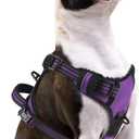 PUPTECK No Pull Dog Harness Small Sized, Adjustable Reflective Dog Harness with Handle Easy Control, Comfortable Soft Padded Pet Vest Harness for Small Dogs, Solid Purple S
