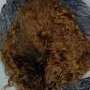 Quantum Love Human Hair Wigs Curly Wave Side Part Wig Short Bob Pixie Cut Brazilian Remy Human Hair Deep Curly None Lace Front Wigs for Women Ombre Black Brown Color