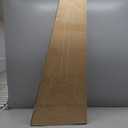 Enya Inspire 39" Smart Electric Guitar - Carbon Fiber Body with Built-in 15W Speaker, 20 Tones & App Control, 4 Presets, Bluetooth, Gig Bag Included (Black)