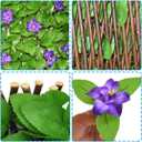 Sumery Expandable Fence Privacy Screen for Balcony Patio Outdoor,Decorative Faux Ivy Fencing Panel,Artificial Hedges (Single Sided Leaves) (1, Purple Flowers)