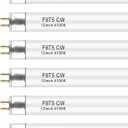 PACETAP F8T5 CW 4100k Fluorescent Bulbs 6 Pack, T5 12 inch 8 Watts Linear Under Cabinet Light Bulb Cool White, G5 Mini Bi Pins Base Replacement Tube for Under Cabinet Light, RV, Closet