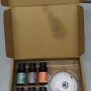 Waterless Rechargeable Scent Diffuser Hotel Collection Diffuser Set with 6 Hotel Essential Oils Two Intensity Modes Home & Office Fragrance Machine