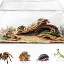AZV Escape Proof Reptile Terrarium,Shatter Proof Polycarbonate Tarantula Tank with Magnetic Lid,Ventilated Spider Enclosure,360 Clear View,Easy Clean Habitat for Gecko,Frogs,Insects,Hermit Crabs L (Large(11.81*7.87*5.90inch))