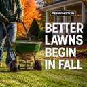 Pennington Kentucky 31 Fescue 40 LB Tall Fescue Grass Seed, Grass Seeds for Lawn (EXP 12/31/36)