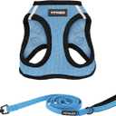 Best Pet Supplies Voyager Step-in Air All Weather Mesh Harness and Reflective Dog 5ft Leash Combo with Neoprene Handle, for Different Breed Puppies - Set (Baby Blue/Black Trim), X-Small