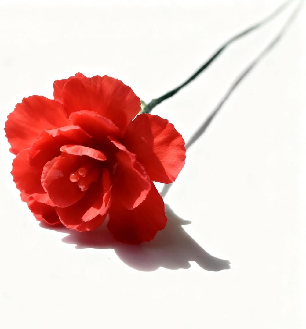 Crystal Birthday Flowers Gift Set, Handmade Glass Roses in Gift Box for Women, Mothers Day, Valentine's Day Gifts for Her, Home Desk Decor (June: Roses)