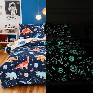 Meeting Story Glow in the Dark Kid Bedding Set for Boys,5Piece Queen Boys Dinosaur Comforter Set with Sheets for Kids Teens