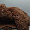 Large Area Rugs for Living Room Bedroom, 5x7 Feet Brown Fluffy Shag Rugs, Ultra Soft Shaggy Plush Fuzzy Modern Indoor Throw Floor Carpet for Kids Girls Boys Dorm Nursery Home Decor Aesthetic, Brown