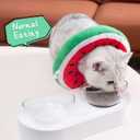 ANWA Adjustable Cat Cone Collar Soft, Cute Cat Donut Collar After Surgery, Kitten Recovery Cones to Stop Licking (Red) Medium 