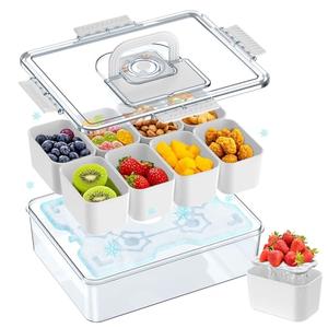 Palksky Snackle Box Container with Ice Pack, Travel Snack Containers with Lid & Handle, Chilled Portable Divided Serving Tray, 8 Compartments Bento Snack Box for Fruits Veggies Snacks, Keep Food Cold