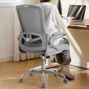 Ergonomic Office Chair, Desk Chair with Adjustable Lumbar Support, Breathable Mesh Comfy Computer Chairs with Flip-up Armrests Executive Task Chair for Adults Home Office (Gray)