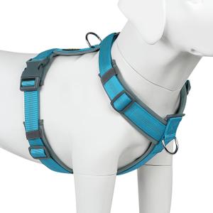 Plutus Pet No Pull Dog Harness, Adjustable Nylon Harness with Soft Padding, Reflective and Heavy Duty Dog Harness for  Dogs(Cyan, L)