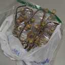 Anyumir 2Pcs Faux Berry Stems for Tall Vases, 35.4 Inch Bendable Brown Branches with Frosted Effect - Faux Branches Artificial Chinese Lantern Stems for Farmhouse Home Office Decor