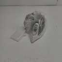 Amazon Basics Steam Iron for Clothes with Safety Auto Shut-Off, Handheld Steamer, Steel Soleplate, 1700-Watt, 1.62ft, Gray