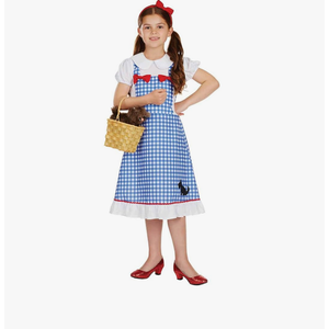 fun shack Dorothy Costume for Girls, Wizard of Oz Costumes for Kids, Girls Halloween Costume, Halloween Costume for Kids, Size XL