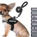 Service Dog Vest Harness and Leash Set, Animire in Training Dog Harness with 10 Dog Patches, Reflective Dog Leash with Soft Padded Handle for Dogs,  (Black,S)