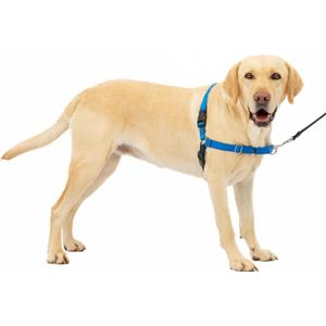 PetSafe Easy Walk No-Pull Dog Harness - Ultimate Harness to Help Stop Pulling - Pull-Free Walks - Take Control & Teach Better Leash Manners - Patented Martingale Loop Design - Royal Blue, Large